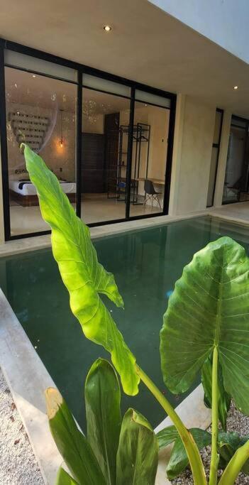 Apartment With Private Pool Tulum Chemuyil 외부 사진
